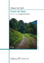 CAMI DE LLUM