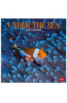 calendario 2027 pared 30x30 under the sea legami-8052694130046