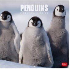 calendario 2024 pared mes vista penguins legami-8051128758856
