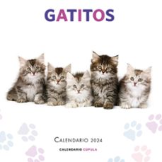 Casetas para Gatos: Las 12 Mejores, Guía 2024