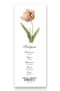 artepapel marcapáginas tulipán-8436615380886