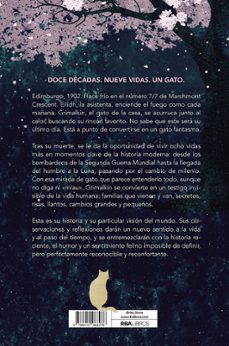 Imagen Secuandaria de El gato fantasma. Abrir galería completa.