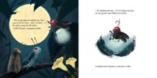 el viaje de candela-alessandro montagnana-9788410074408