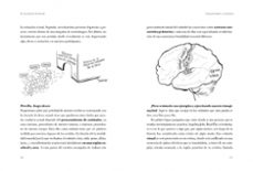 cerebro milenial-nacho roura @neuronacho-9788418040108