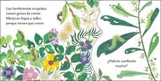 las mariposas de mi jardín-9780241619810