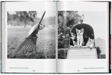 walter chandoha. cats. photographs-susan michals-9783836595315
