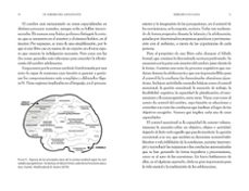▷ Chollo Libro Kindle El cerebro del adolescente de David Bueno por sólo  2,37€ (-88%)