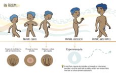 el semen mola (pero necessites saber com funciona) (menstruita)-anna salvia-cristina torron menstruita-9788419357724