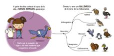 evolucion (futuros genios 3)-carlos pazos-9788448851927