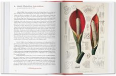 a garden eden. masterpieces of botanical illustration. 40th ed.-h. walter lack-9783836591928
