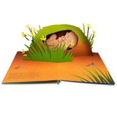 baby-pop-meritxell marti-9788491012733