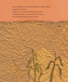 el niño que domo el viento (album ilustrado)-william kamkwamba-bryan mealer-9788417424138