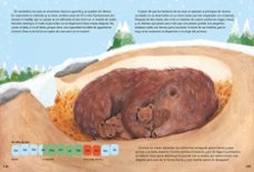 cuentos para leer en 5 minutos antes de dormir- britannica books-9788427224339