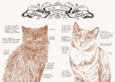 historia de un gato-laura agusti-9788426410542