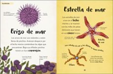 mi primer libro de animales-9780241619858