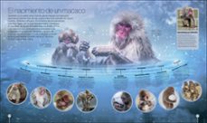 los ciclos de la naturaleza-9780241702963