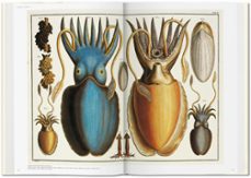 seba. cabinet of natural curiosities-albertus seba-9783836569064