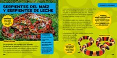 mi primer gran libro de las mascotas-catherine d. hughes-9788482987774