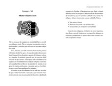 manual práctico de los mejores equipos-daniel coyle-9788417992477