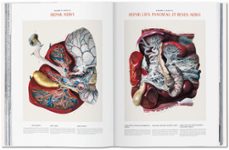 atlas of human anatomy and surgery-herni sick-jean marie le minor-9783836568982