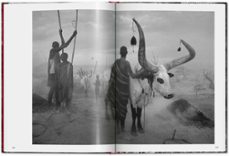 genesis salgado (ed. bolsillo castellano)-sebastian salgado-9783836594585