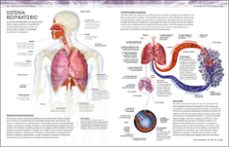atlas de anatomía para colorear-9780241703090