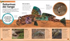 la pequeña oruga glotona: mi primera enciclopedia de animales-eric carle-9780241752890