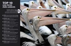 el mundo en números. animales-9780241702994