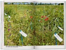 koolhaas: countryside, a report-rem koolhaas-9783836584395