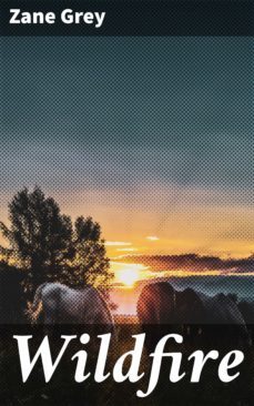wildfire (ebook)-4057664655806