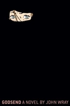 godsend-joan bray-9780374164706