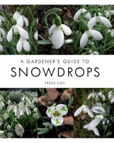 gardener's guide to snowdrops (ebook)-freda cox-9781785004506