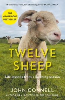 twelve sheep-john connell-9781805461906