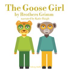 the goose girl (audiolibro)-james gardner-9782821112506