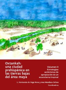 oxtankah: una ciudad prehispanica en las tierras bajas del area maya (ebook)-9786075398006