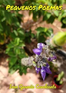 pequenos poemas (ebook)-ivan gusmão cavalcante-9786500094206