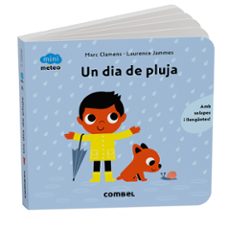 mini meteo: un dia de pluja-9788411583206