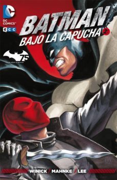 batman: bajo la capucha num. 02-judd winick-9788416255306