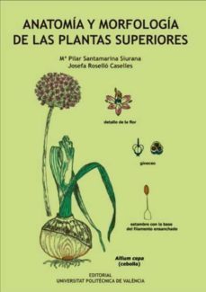 anatomia y morfologia de las plantas superiores-9788483637906