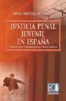 la justicia penal juvenil en españa. legislacion y jurisprudencia constitucional-9788484545606