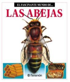 las abejas (ebook)-mª angels julivert zamarreño-9788499103006