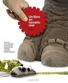 un libro en tamaño real-pedrita parker-9789871374106