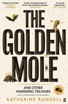 the golden mole (ebook)-katherine rundell-9780571362516