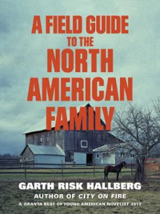 -garth risk hallberg-9781473549616