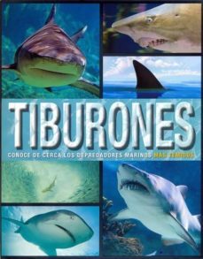 tiburones conoce de cerca los depredadores marinos mas temidos-9781474816816