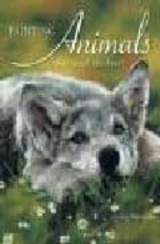 painting animals that touch the heart-lesley harrison-9781581801316