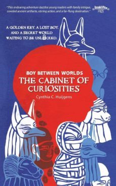 boy between worlds: the cabinet of curiosities-cynthia c huijgens-9781732925816