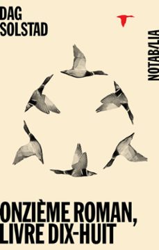 onzième roman, livre dix-huit (ebook)-dag solstad-9782882505316