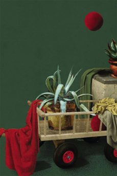 onde voce vai encontrar um outro pai como o meu (ebook)-rossana campo-9786586683516