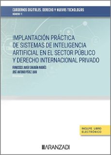 implantacion practica de sisemas de intteligencia artificial en el sector publico y derecho internacional privado-9788410296916